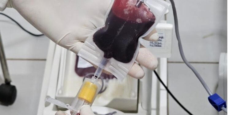 Fhemeron reforça doação de medula óssea que é vital para o tratamento de mais de 50 doenças hematológicas