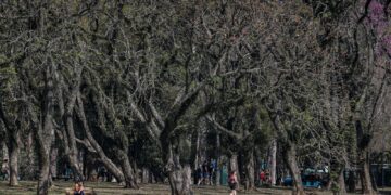 Cidade de São Paulo tem agosto mais seco desde 2020