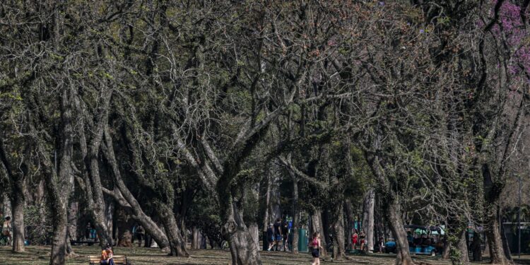 Cidade de São Paulo tem agosto mais seco desde 2020