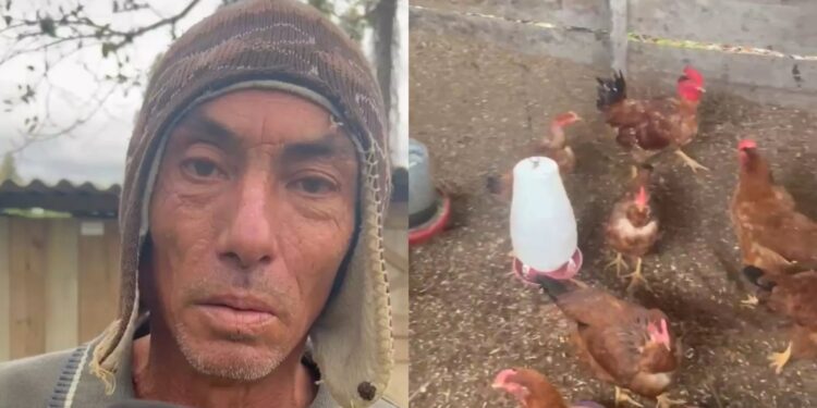 mulher invade galinheiro para ritual macabro