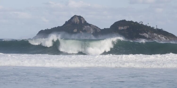 Jovens de 9 países participam de curso de pesquisas oceânicas no Rio