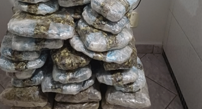 Quase 40 kg de skunk e arma são apreendidos após fuga na BR-364