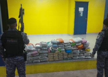 Homem é preso com cerca de 100 kg de maconha em operação conjunta da PM e PRF em Rondônia