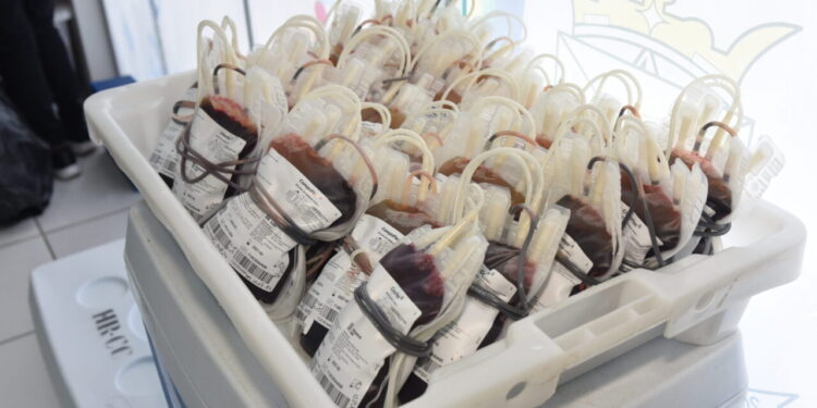 Alta Floresta d’Oeste e Porto Velho registram mais de 240 bolsas de sangue coletadas em ações da Fhemeron