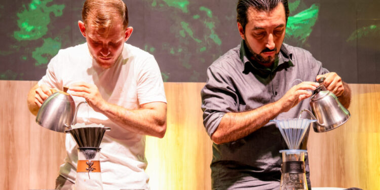 Concafé 2025: cafeicultora do município de Rolim de Moura produz o melhor café de Rondônia