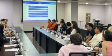 Diagnóstico da Primeira Infância é apresentado durante reunião do Comitê Estadual Intersetorial de Políticas Públicas