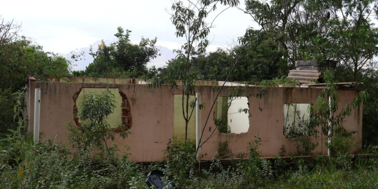 Brumadinho: Crea cancela registro de 15 engenheiros envolvidos