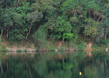 Prefeitura de São Caetano do Sul anuncia racionamento noturno de água