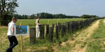 lavoura e árvores reduzem impacto de mudança climática| Agência Brasil