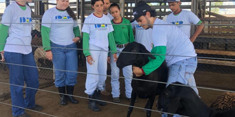 Alunos do Curso Técnico em Zootecnia apresentam práticas de bem-estar animal na II Semana do Técnico Agrícola, em Pimenta Bueno