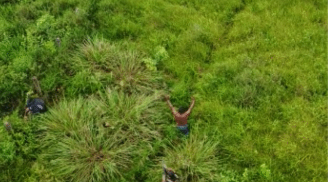 Três homens são condenados a mais de 90 anos de prisão por torturar e matar vigilante em garimpo de Rondônia