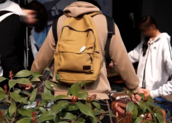 Acampamento de jovens na China é invadido por policiais