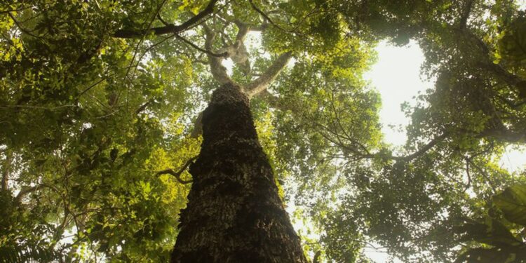 TV Brasil estreia nova temporada de “Parques do Brasil” neste domingo