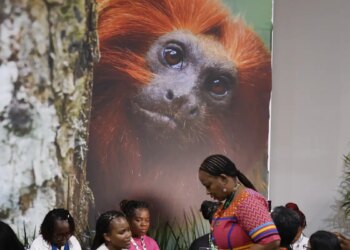 COP30: financiamento, transição e adaptação são centro das negociações