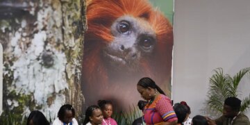 COP30: financiamento, transição e adaptação são centro das negociações