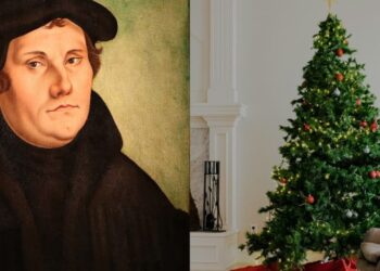 Árvore de Natal foi criada por Lutero na Alemanha? Estudiosos respondem