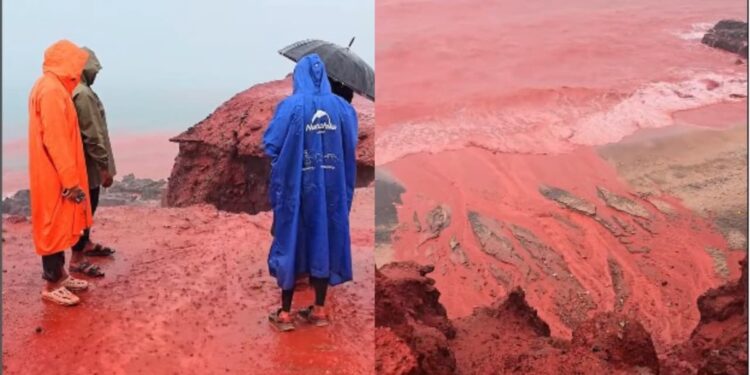 Semelhante à praga bíblica, mar fica cor de sangue em praia no Irã