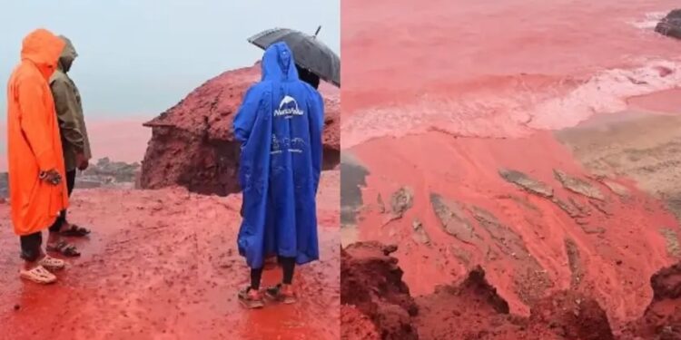 Praga bíblica? Fenômeno tinge de vermelho as águas do Golfo