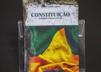 Sociedade civil pede ao Senado rigor na análise do PL da Dosimetria