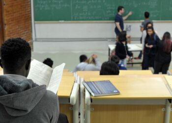 Deputados de SC proíbem cotas raciais em universidades estaduais