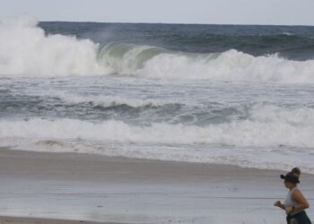 Consciência ambiental cresce em áreas com projetos de longa duração