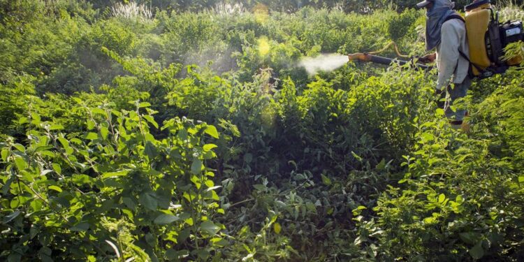 Campanha denuncia agronegócio por contaminações com uso de agrotóxicos