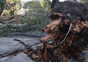 MIDR reconhece situação de emergência em 21 municípios 