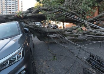 Cinco dias após ciclone, 30 mil clientes estão sem energia em SP