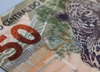 Fundações sem fins lucrativos pagam salários maiores que empresas