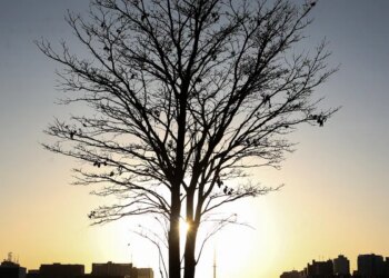 Duas pesquisadoras da Uerj participam do seleto grupo do IPCC da ONU