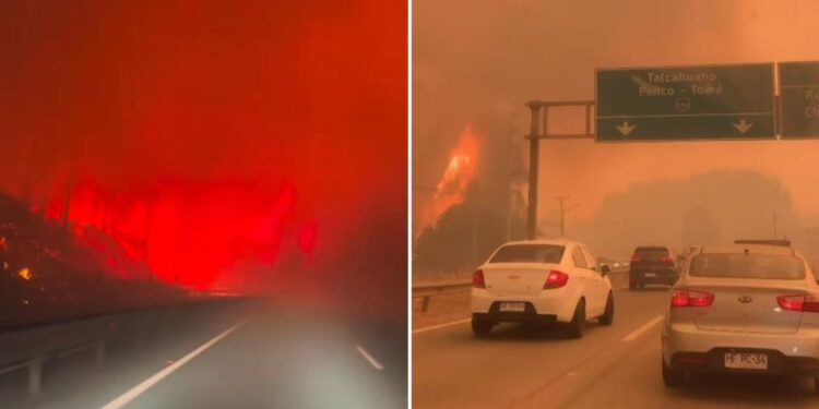 “Ore pelo Chile”: Incêndios deixam mortos, milhares desabrigados e calamidade pública