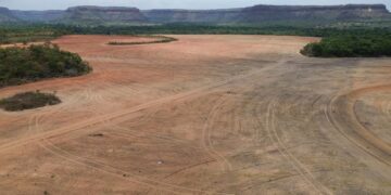 Exportadores de soja deixam acordo sobre desmatamento na Amazônia