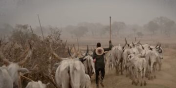 Fulani seguem massacrando cristãos ‘quase diariamente’