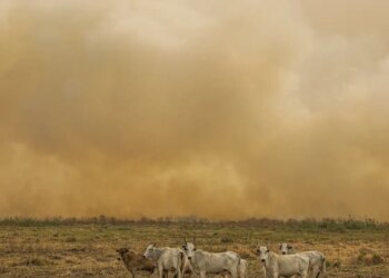 Janeiro tem número de focos de calor duas vezes maior que a média