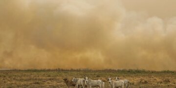 Janeiro tem número de focos de calor duas vezes maior que a média