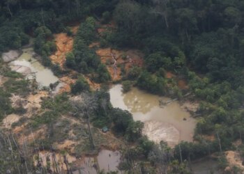 Edital prorroga inscrições para restauração em terras indígenas