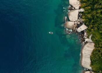 TV Brasil exibe documentário com iniciativas de preservação da costa