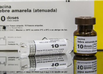 SP: quem tomou vacina fracionada da febre amarela deve completar ciclo