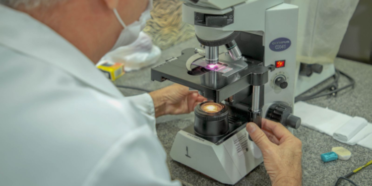 Prefeitura monitora Mpox e mantém vigilância em Porto Velho