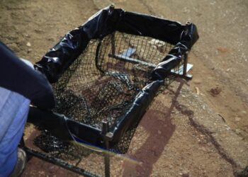 CIDADE LIMPA – Instalação de ecobueiros chega a mais bairros e ruas de PVH