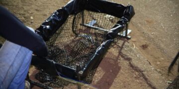 CIDADE LIMPA – Instalação de ecobueiros chega a mais bairros e ruas de PVH