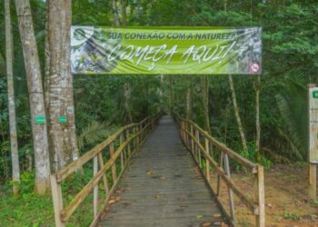 Trilha Palafitada dentro da floresta é nova atração do Parque Natural