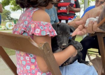 Adoção de cães e gatos é sucesso em feira realizada pela prefeitura