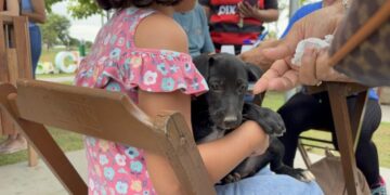 Adoção de cães e gatos é sucesso em feira realizada pela prefeitura