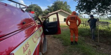 Corpo de Bombeiros Militar de Rondônia localiza jovem desaparecido em Cacaulândia