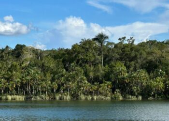 Link para requerimento de regularização ambiental é disponibilizada pelo governo de RO