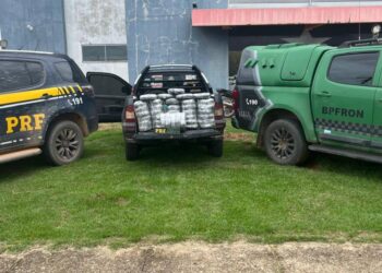 Ação integrada apreende mais de 42 kg de droga e prende quatro em RO