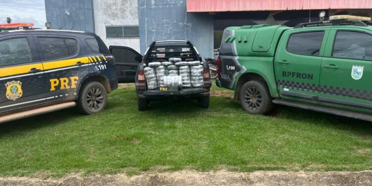 Ação integrada apreende mais de 42 kg de droga e prende quatro em RO
