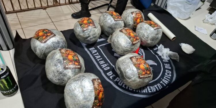 Apenado com tornozeleira é preso com 10 quilos de skank