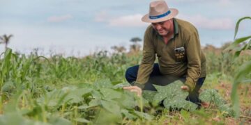 Edital prevê R$ 131,9 milhões para regularização fundiária e apoio a agricultores